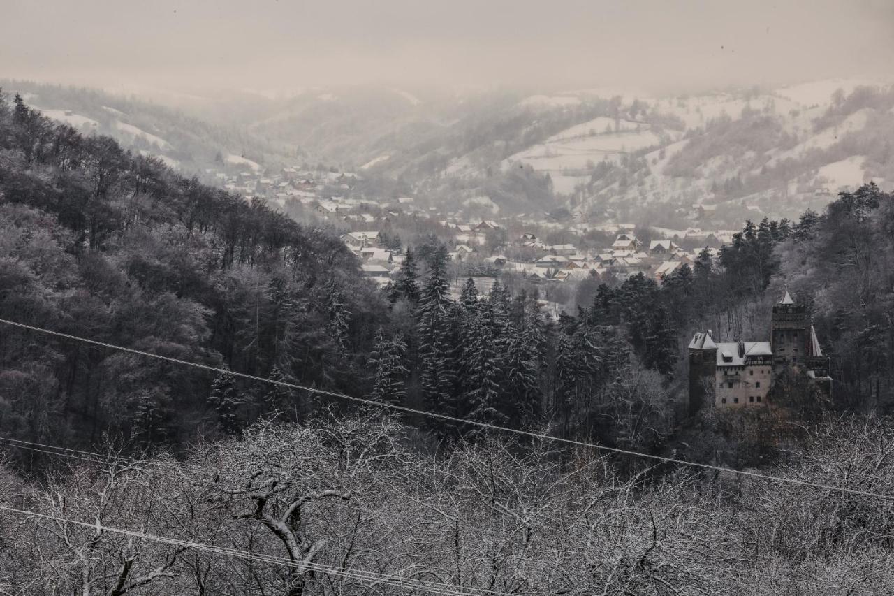 Contele Vladimir Hotel Bran  Luaran gambar