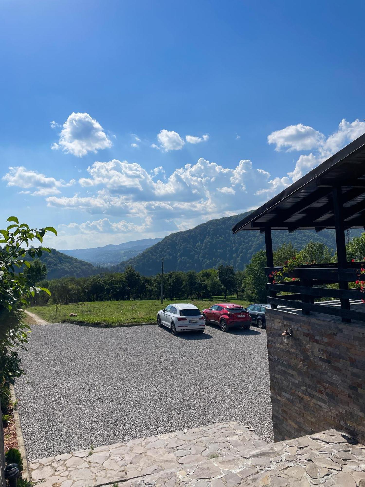 Contele Vladimir Hotel Bran  Luaran gambar