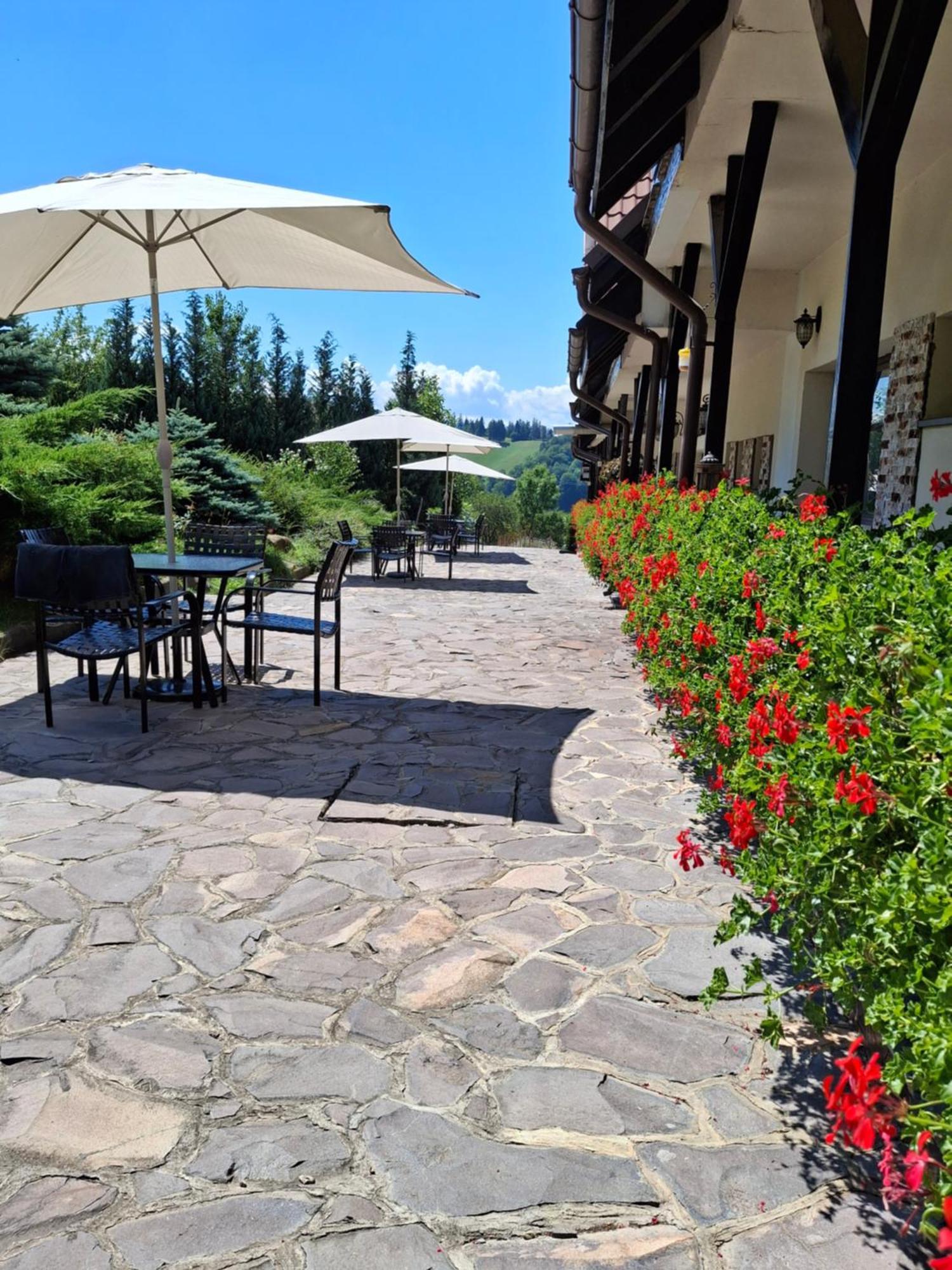 Contele Vladimir Hotel Bran  Luaran gambar