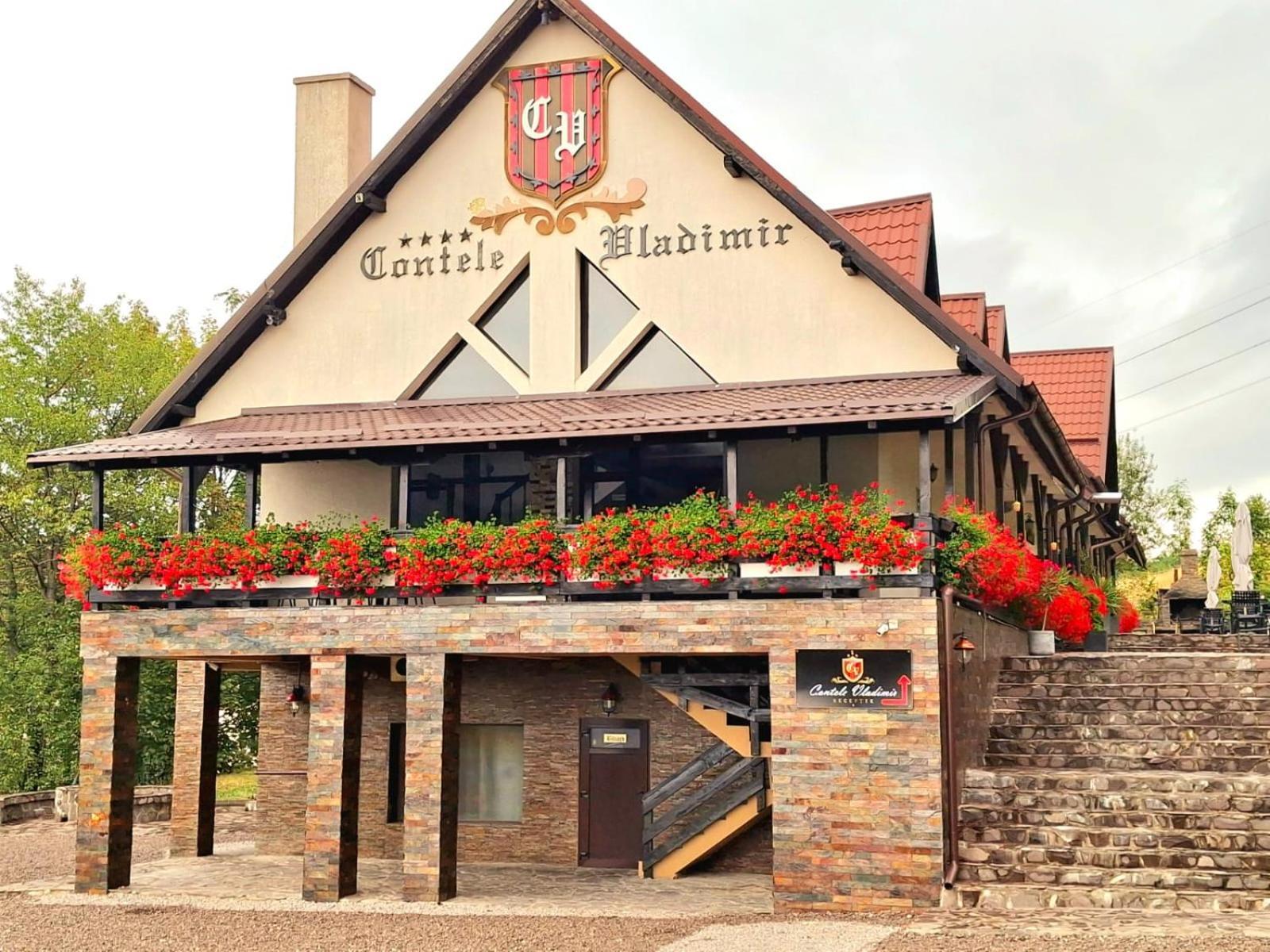 Contele Vladimir Hotel Bran  Luaran gambar