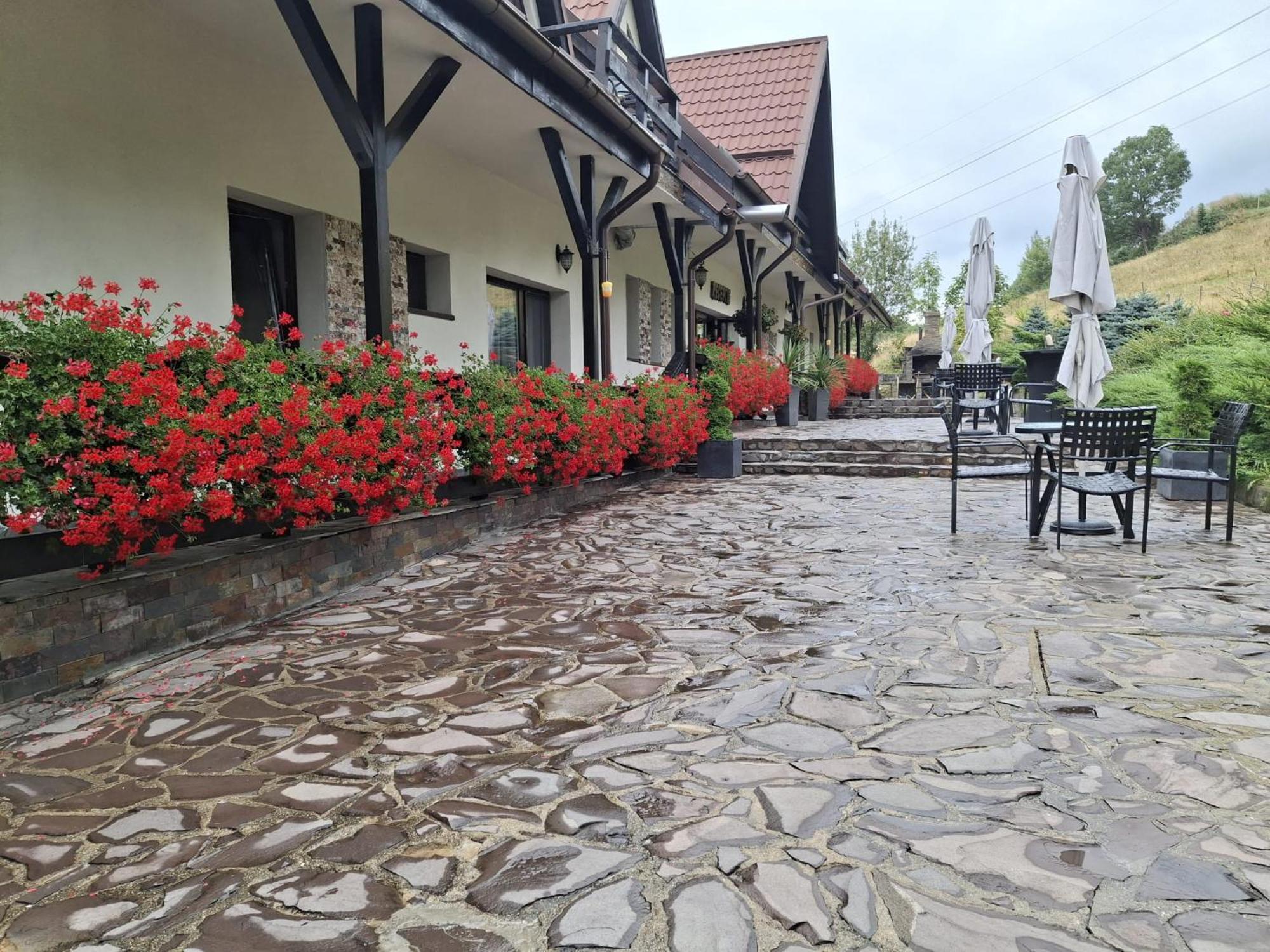 Contele Vladimir Hotel Bran  Luaran gambar