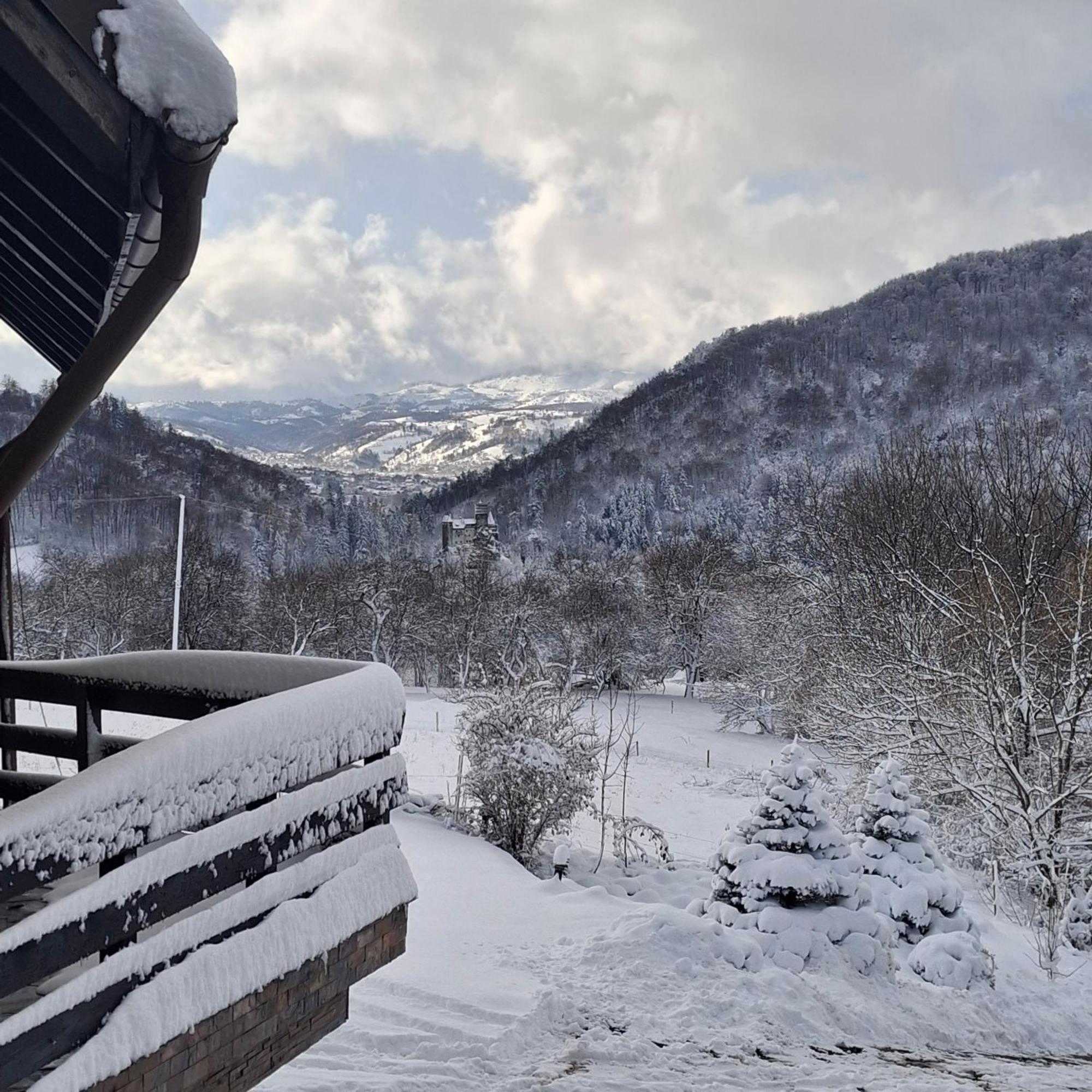 Contele Vladimir Hotel Bran  Luaran gambar